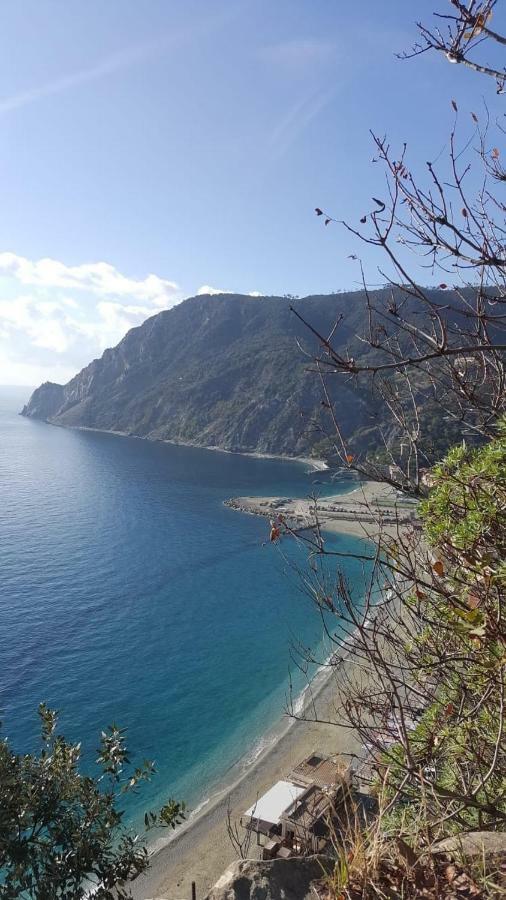 Appartamento Le Conchiglie Monterosso Al Mare Exterior photo